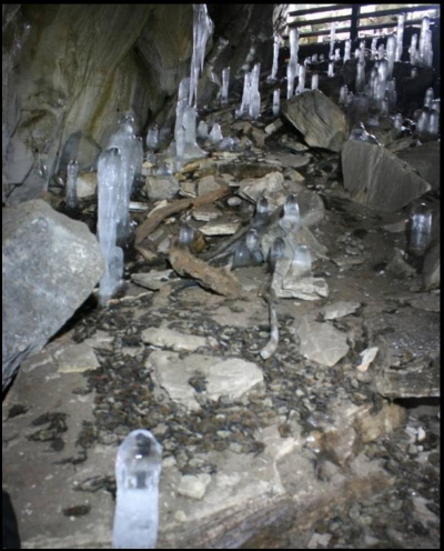 bat carcasses in Aeolus Cave in VT.  photo by Alan Hicks, NY Department of Environmental Conservation.