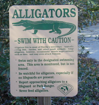 alligator warning