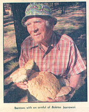 Chuck Barrows with an armful of Boletus barrowsii