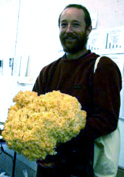 Unknown NAMA forayer with a LARGE Hericium abietis