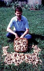 me with lots of morels